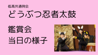 観て、聴いて、参加した舞台！